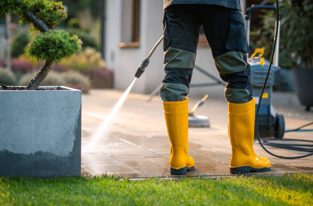 Roof Power Washing Services in Edgemere, MD